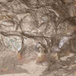 Permian Fern Odontopteris osmundaeformis at the online store www.fossilcave.com